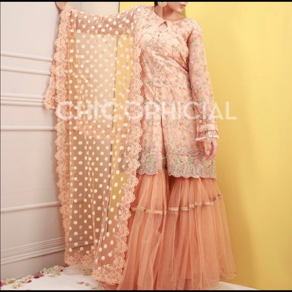 Pakistani Indian party wear